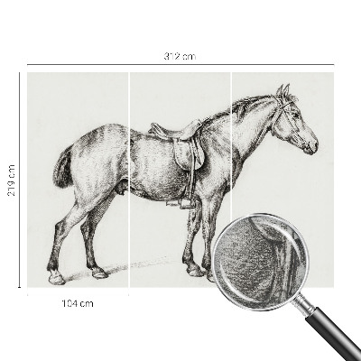 Fotomural Esboço de um cavalo