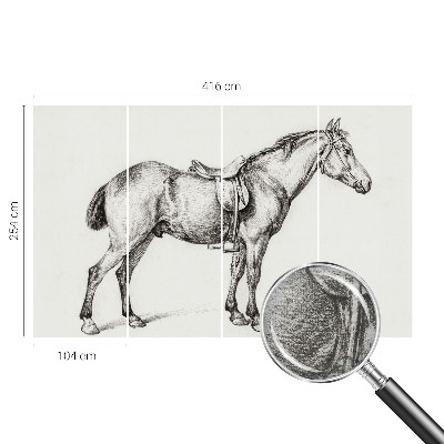 Fotomural Esboço de um cavalo