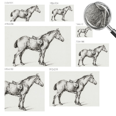 Fotomural Esboço de um cavalo