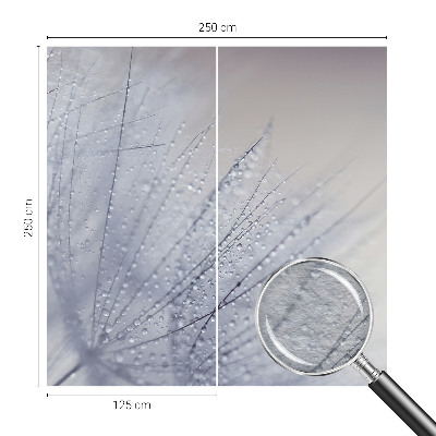 Mural de parede Dente-de-leão orvalhado