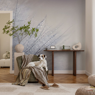 Mural de parede Dente-de-leão orvalhado