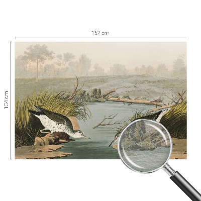 Papel de parede fotográfico Uma paisagem tranquila