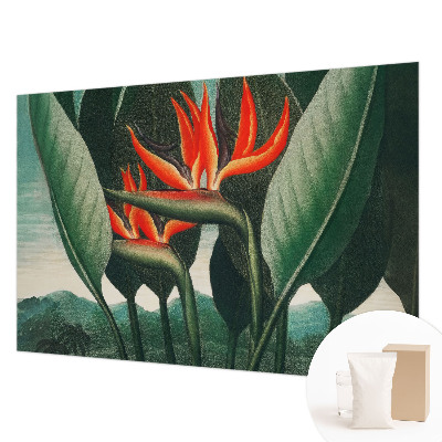 Papel de parede para quarto Flores exóticas