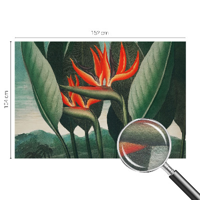 Papel de parede para quarto Flores exóticas