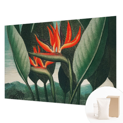Papel de parede para quarto Flores exóticas