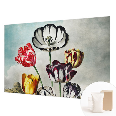 Papel de parede fotográfico Tulipas coloridas