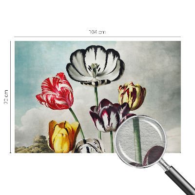 Papel de parede fotográfico Tulipas coloridas