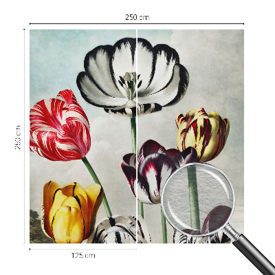 Papel de parede fotográfico Tulipas coloridas