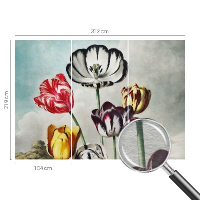 Papel de parede fotográfico Tulipas coloridas