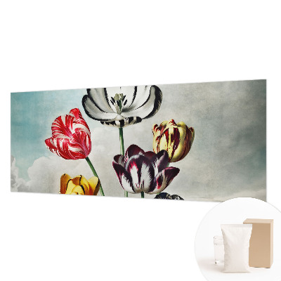 Papel de parede fotográfico Tulipas coloridas