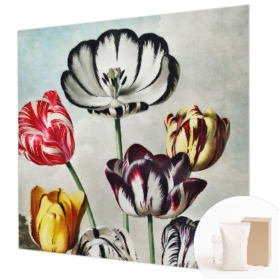 Papel de parede fotográfico Tulipas coloridas