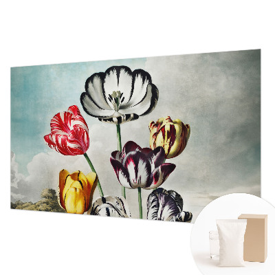 Papel de parede fotográfico Tulipas coloridas