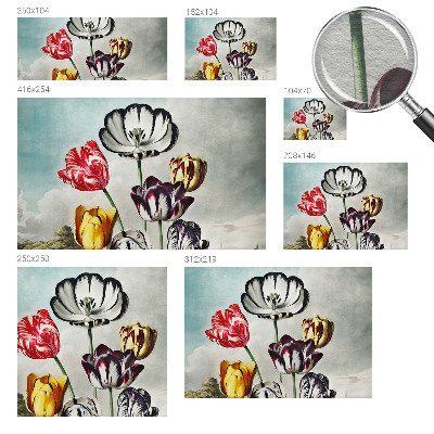 Papel de parede fotográfico Tulipas coloridas