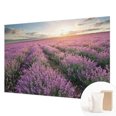 Mural de fotos na parede campos de lavanda