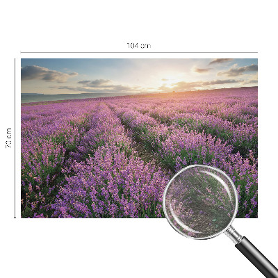 Mural de fotos na parede campos de lavanda
