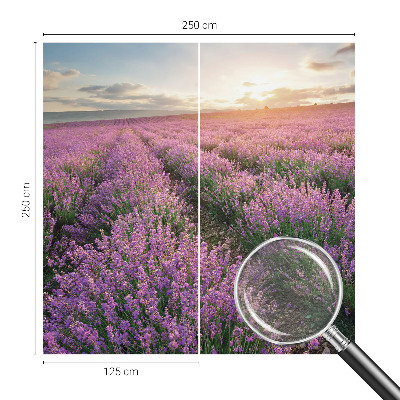 Mural de fotos na parede campos de lavanda