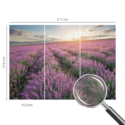 Mural de fotos na parede campos de lavanda