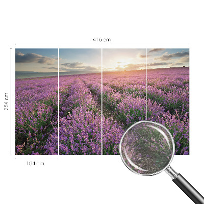 Mural de fotos na parede campos de lavanda