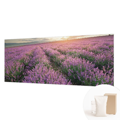 Mural de fotos na parede campos de lavanda