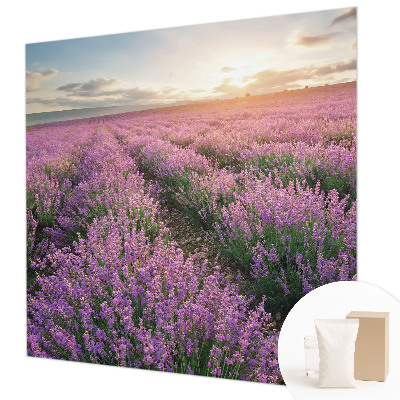 Mural de fotos na parede campos de lavanda