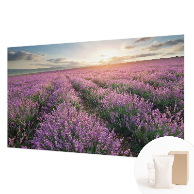 Mural de fotos na parede campos de lavanda