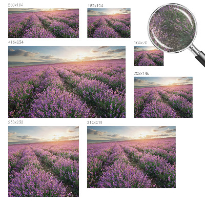 Mural de fotos na parede campos de lavanda