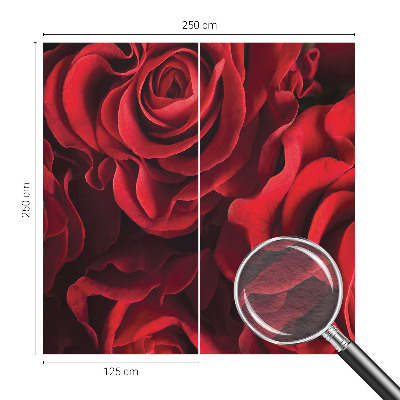 Fotomural Rosas vermelhas