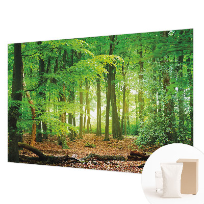 Papel de parede fotográfico Floresta verde