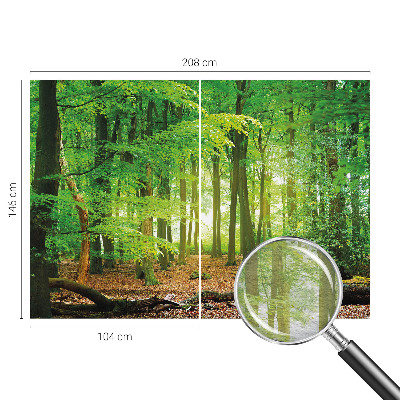 Papel de parede fotográfico Floresta verde