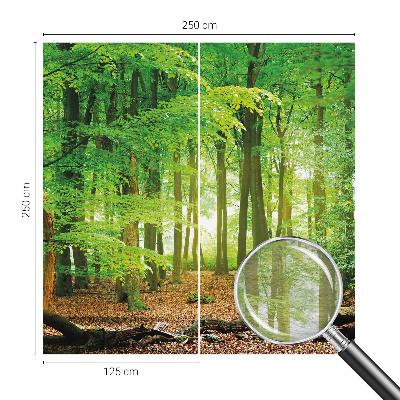 Papel de parede fotográfico Floresta verde