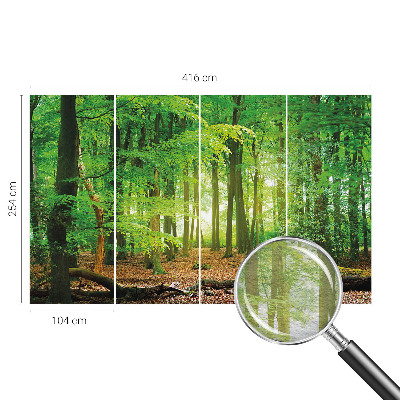 Papel de parede fotográfico Floresta verde