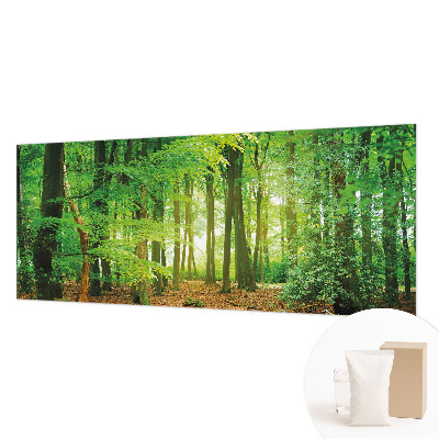 Papel de parede fotográfico Floresta verde