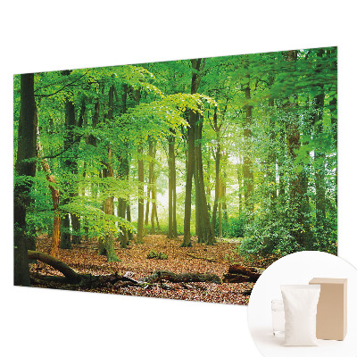 Papel de parede fotográfico Floresta verde
