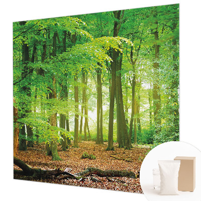 Papel de parede fotográfico Floresta verde