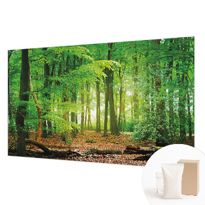 Papel de parede fotográfico Floresta verde