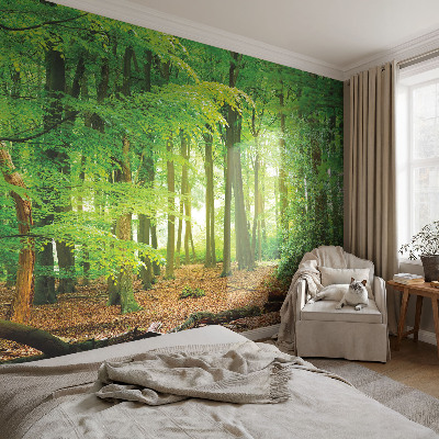 Papel de parede fotográfico Floresta verde