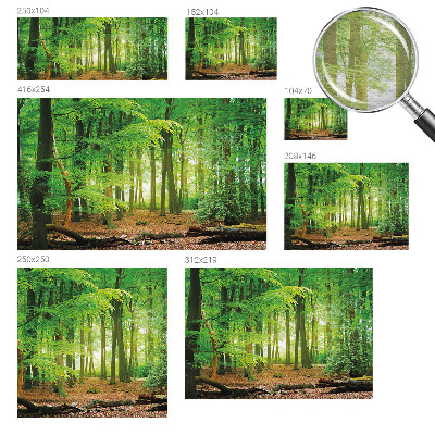 Papel de parede fotográfico Floresta verde