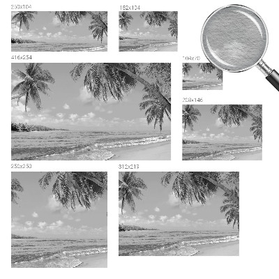 Papel de parede para sala Paraíso tropical