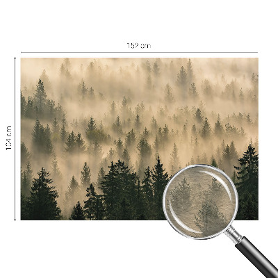 Mural de parede Névoa da floresta