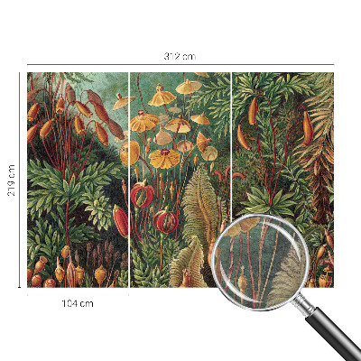 Papel de parede Jardim exótico