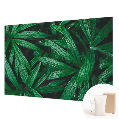 Papel de parede para quarto vegetação natural