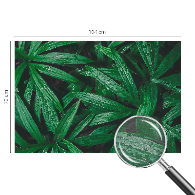 Papel de parede para quarto vegetação natural