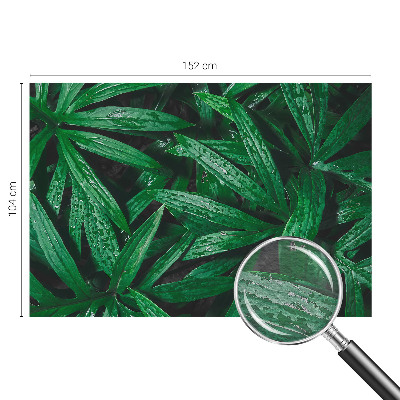 Papel de parede para quarto vegetação natural