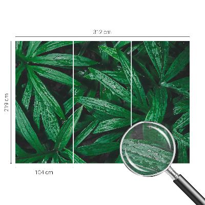 Papel de parede para quarto vegetação natural