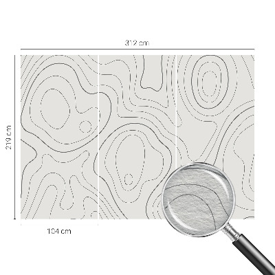 Papel de parede fotográfico Linhas fluidas
