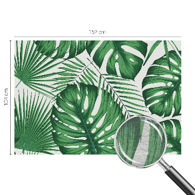 Mural fotográfico Folhas tropicais