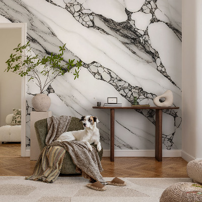 Mural fotográfico Padrão de pedra