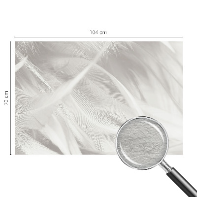 Papel de parede decorativo penas sutis