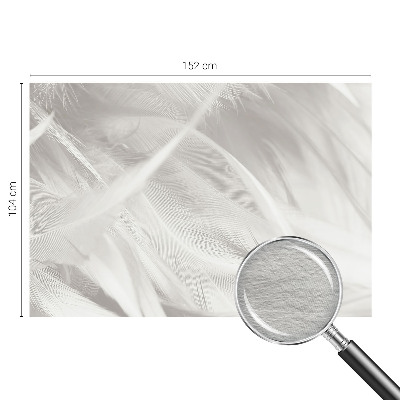 Papel de parede decorativo penas sutis