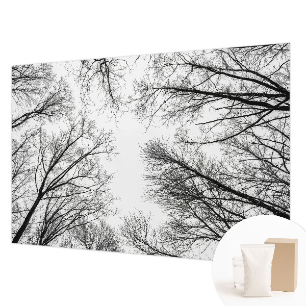 Papel de parede fotográfico Galhos nus